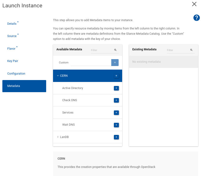 Launch instance metadata step